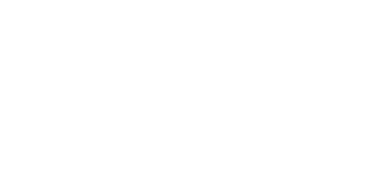 Logo Dr. Lilian Stein, weiß auf transparentem Hintergrund